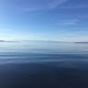 Meet your Posher, Elise